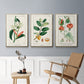 Turpin Tropical Botanicals IV - Framed Premium Gallery Wrapped Canvas L Frame 3 Piece Set - Ready to Hang