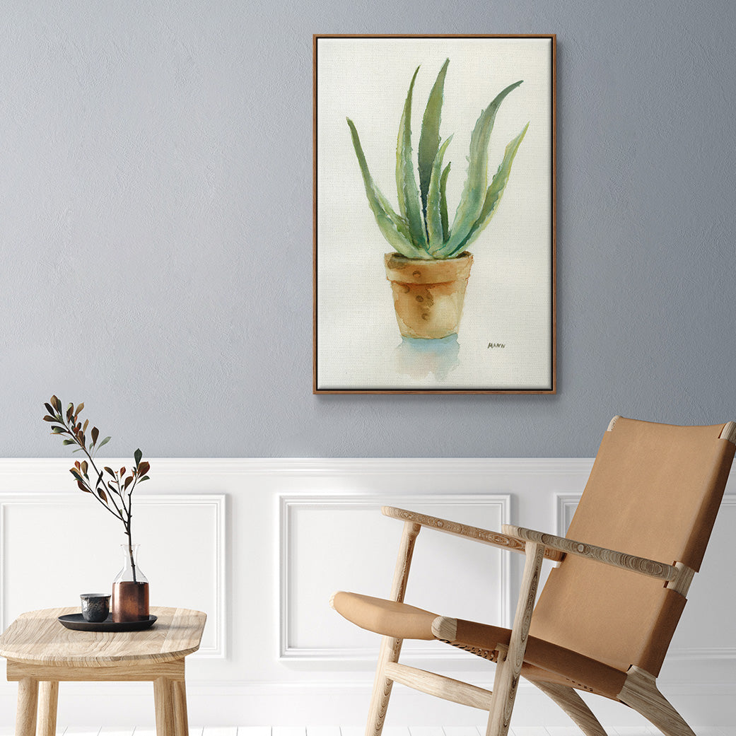 Succulent IV - Framed Premium Gallery Wrapped Canvas L Frame - Ready to Hang