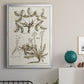 Sepia Botanical Journal VI - Modern Framed Canvas Print