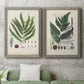 Set of two gray barnwood framed canvas prints depicting a coordinated art pair of vintage fern specimens with botanical details rendered as natural-history fern plates above a sofa in a modern living room.