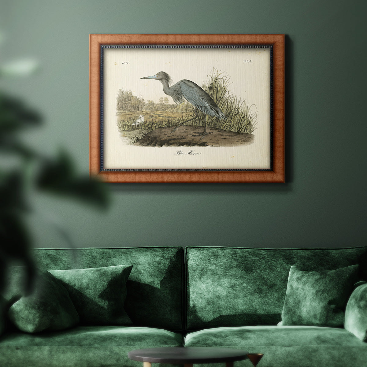 Audubons Blue Heron Premium Framed Canvas- Ready to Hang