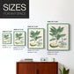 Buchoz Tropicals IV - Restickable Framed Art Print