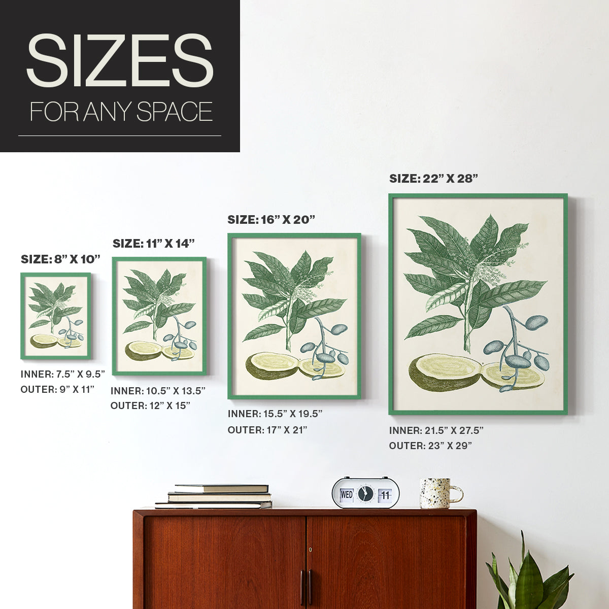 Buchoz Tropicals IV - Restickable Framed Art Print
