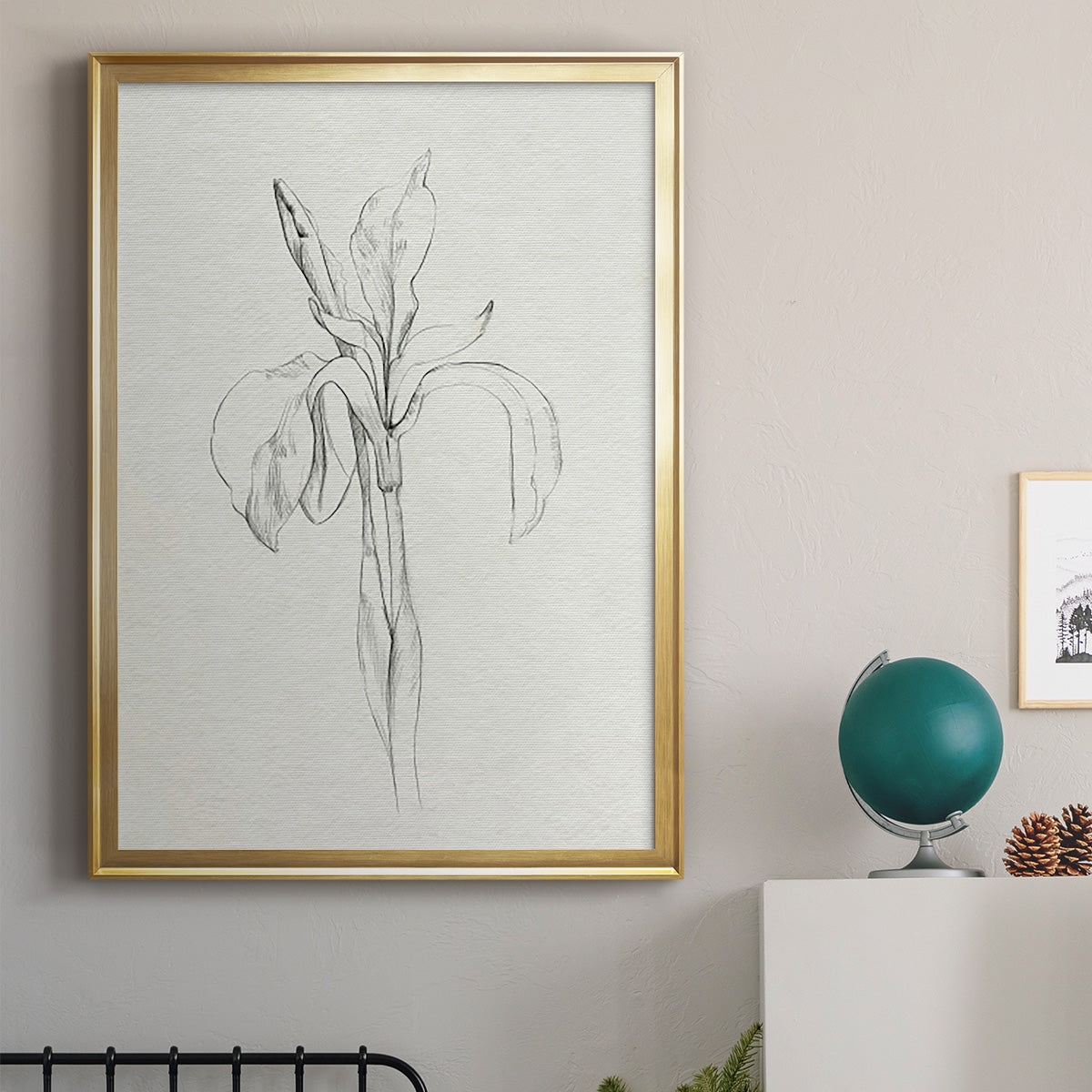 Neutral Iris Sketch II - Modern Framed Canvas Print