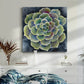 Succulent Rosette II - Canvas Art Print