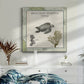 Biologia Marina IV - Canvas Art Print