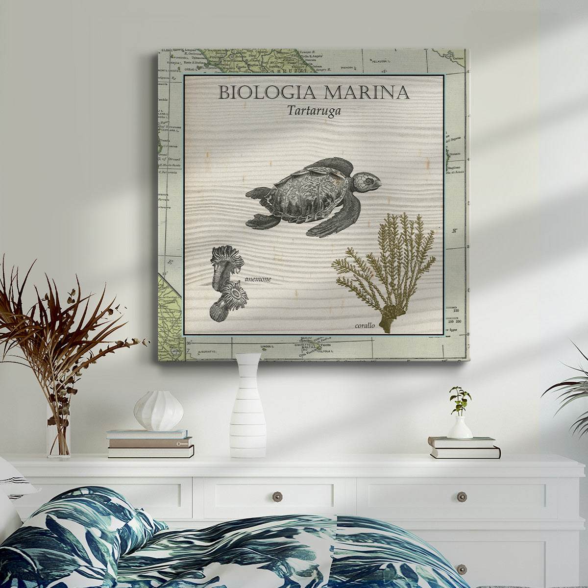 Biologia Marina IV - Canvas Art Print