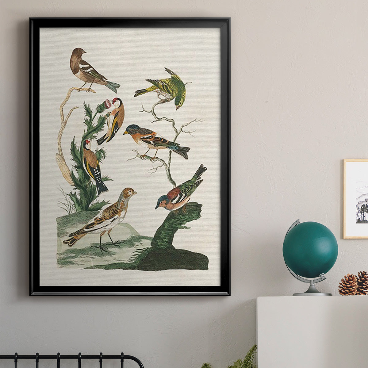 Antique Birds in Nature I - Modern Framed Canvas Print