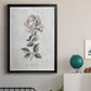 Vintage Botanical II - Modern Framed Canvas Print