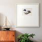 White and Blue Mallard Premium Framed Print Double Matboard