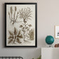 Sepia Botanical Journal VII - Modern Framed Canvas Print