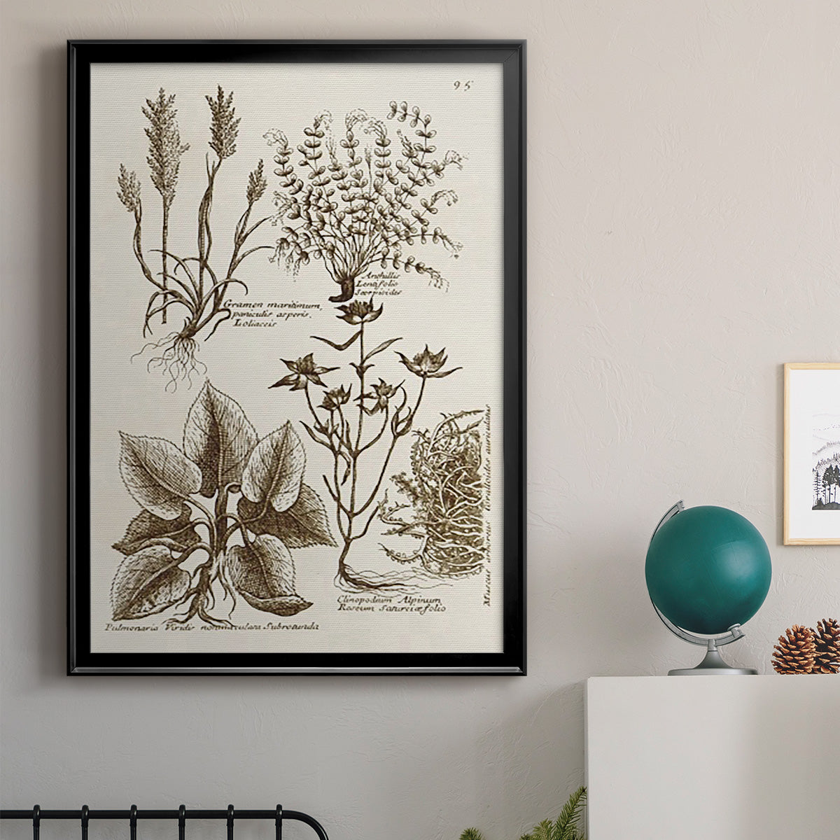 Sepia Botanical Journal VII - Modern Framed Canvas Print