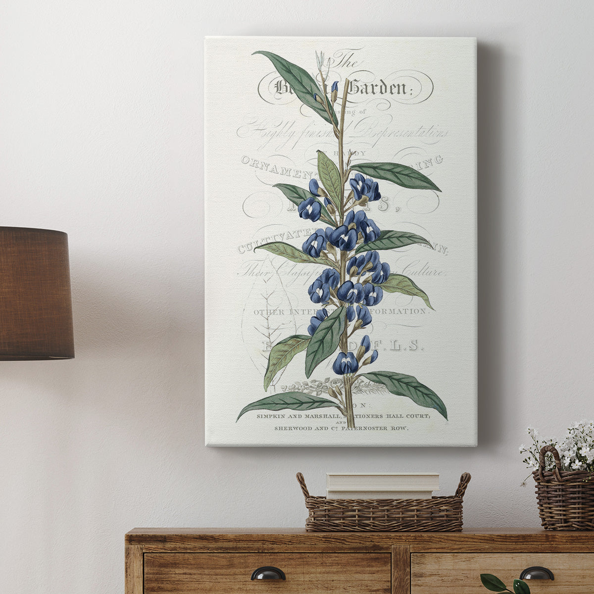 Flower Garden Varietals VI - Canvas Art Print