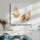 Watercolor Shells VII-Premium Gallery Wrapped Canvas - Ready to Hang