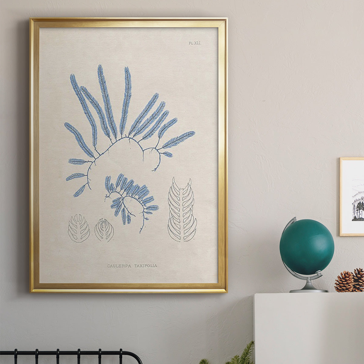 Blue Marine Algae II - Modern Framed Canvas Print