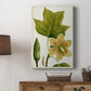 Antique Flowering Trees IV Premium Gallery Wrapped Canvas - Ready to Hang