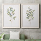 Eucalyptus I   - Premium Framed Canvas 2 Piece Set - Ready to Hang