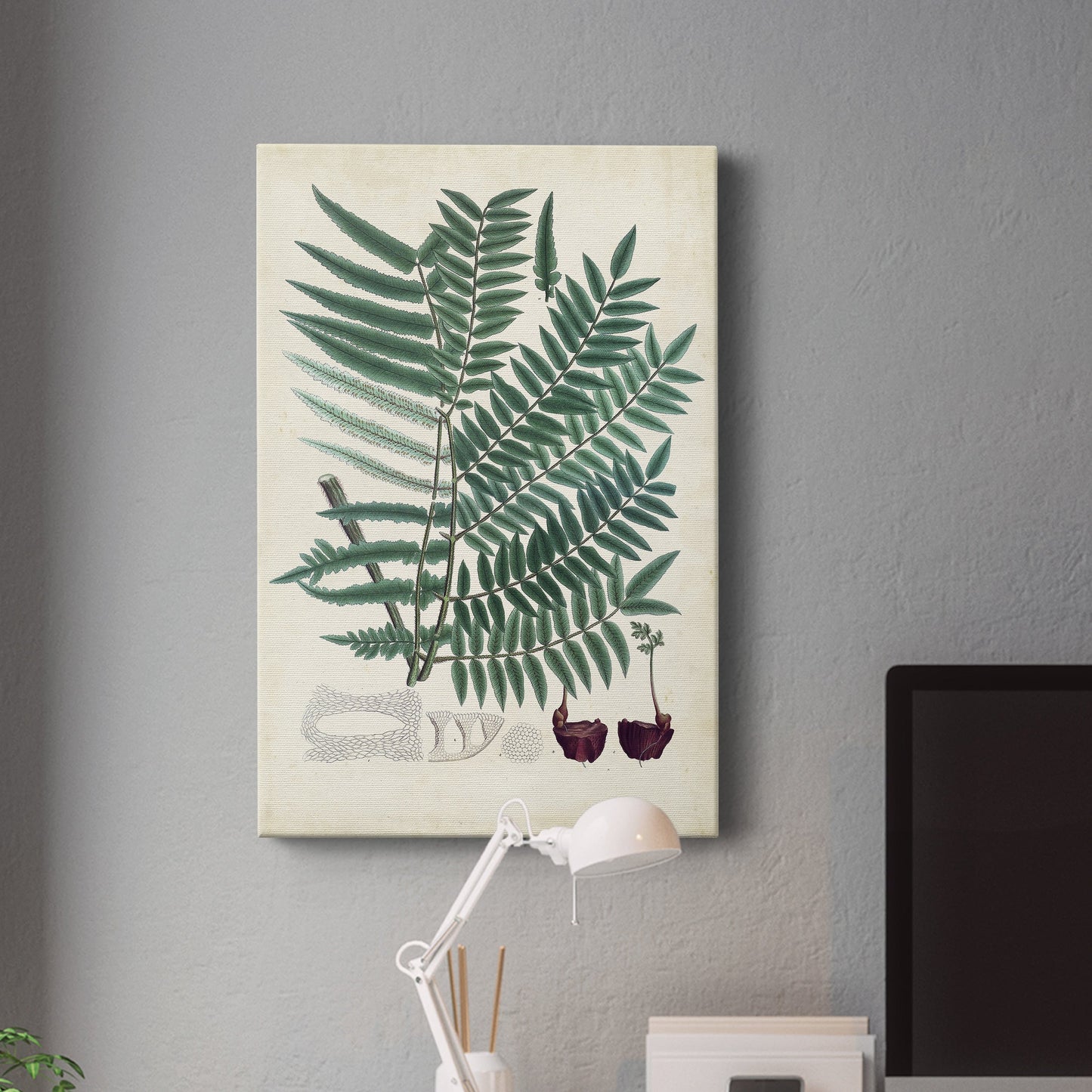 Collected Ferns VIII Premium Gallery Wrapped Canvas - Ready to Hang