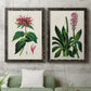 Antique Floral Folio I - Premium Framed Canvas 2 Piece Set - Ready to Hang