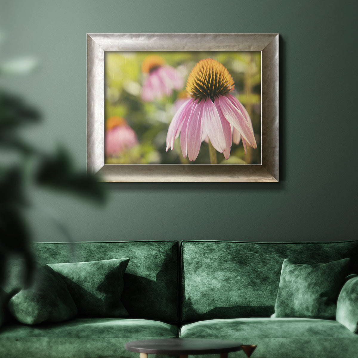 Echinacea Study I Premium Framed Canvas- Ready to Hang