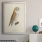 French Owls VI - Modern Framed Canvas Print