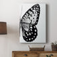 Monochrome Wings II Premium Gallery Wrapped Canvas - Ready to Hang