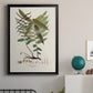 Botanical Society Ferns VI - Modern Framed Canvas Print