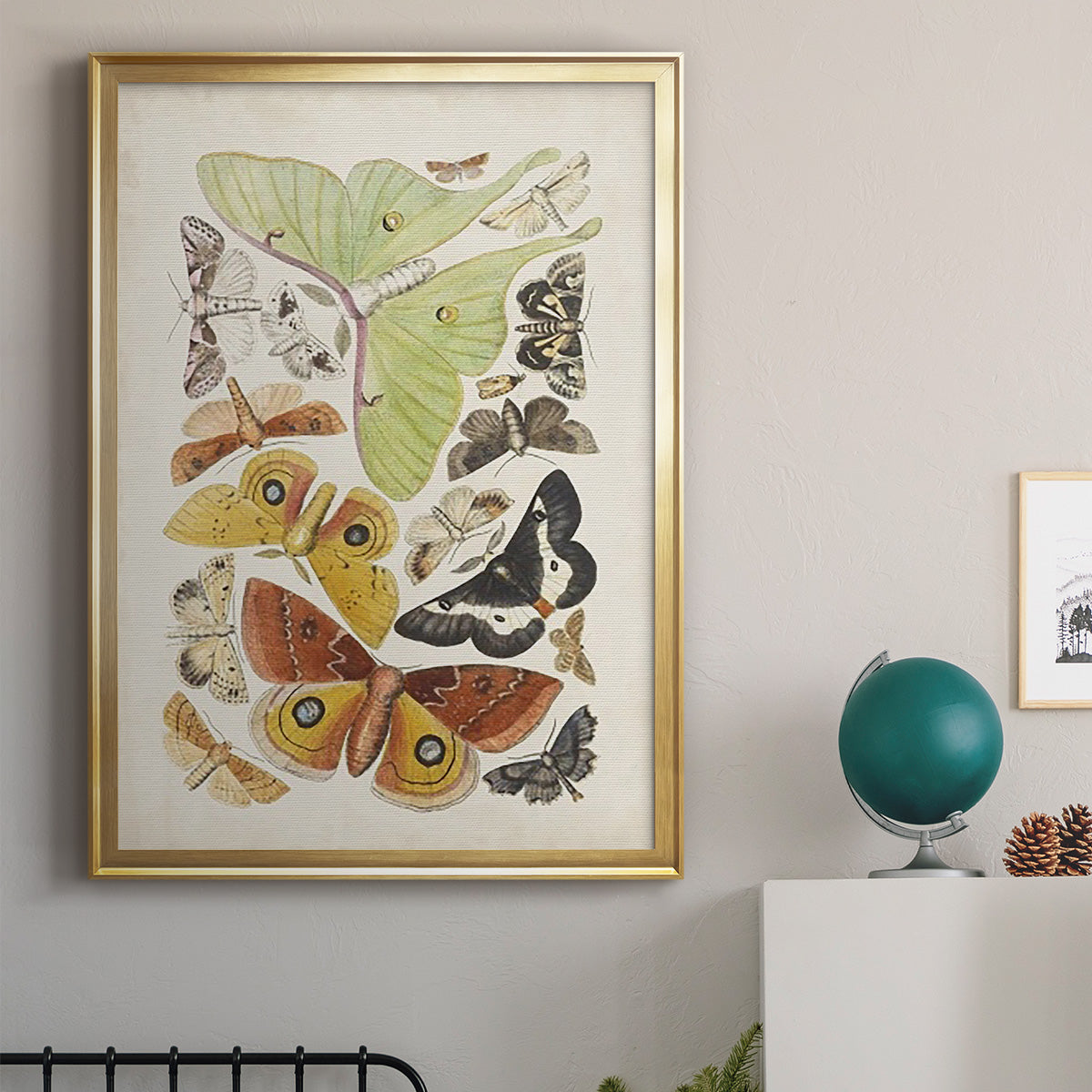 Antique Moths I - Modern Framed Canvas Print