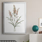 Dainty Botanical I - Modern Framed Canvas Print