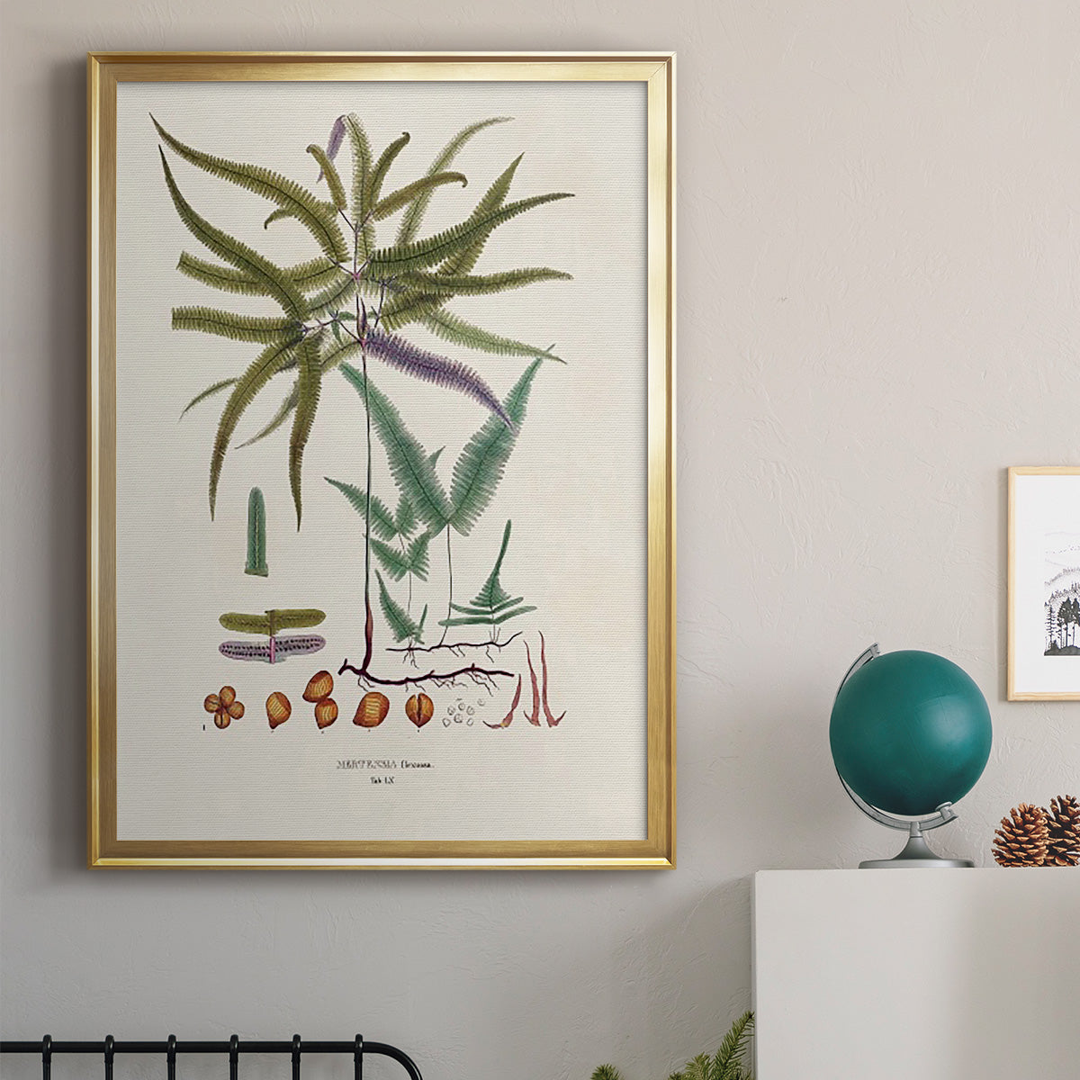 Botanical Society Ferns VIII - Modern Framed Canvas Print