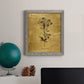 Gold Sketch Botanical II - Barnwood Framed Canvas Print