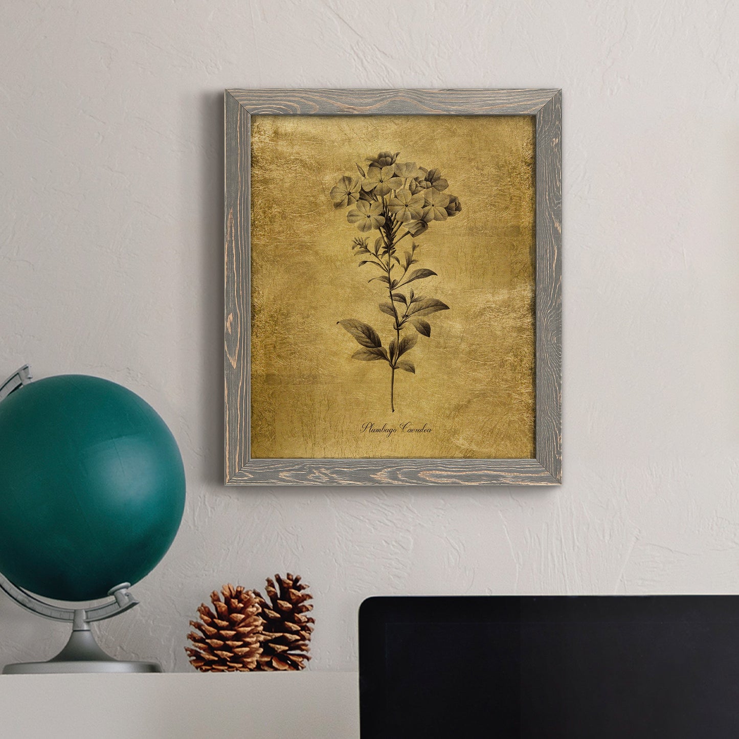 Gold Sketch Botanical II - Barnwood Framed Canvas Print