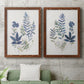 Fern Study I   - Premium Framed Canvas 2 Piece Set - Ready to Hang