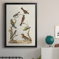 Antique Birds in Nature II - Modern Framed Canvas Print