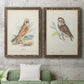 Hawk Owl - Premium Framed Canvas 2 Piece Set - Ready to Hang