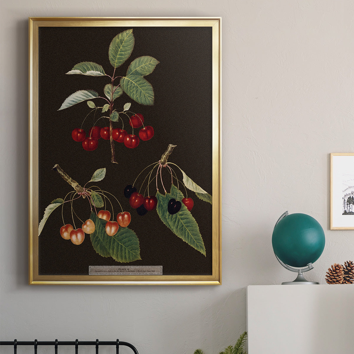 Brookshaw Cherries - Modern Framed Canvas Print