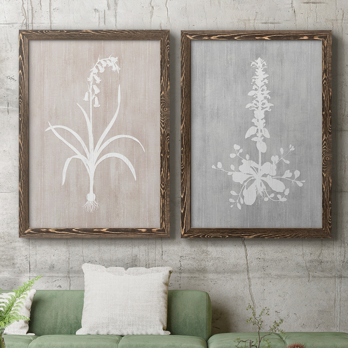 Set of two walnut barnwood framed canvas prints depicting a coordinated art pair of white botanical silhouettes on softly weathered neutral backgrounds rendered as rustic minimalist botanical prints above a sofa in a modern living room.