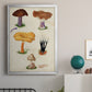 Mushroom Species VII - Modern Framed Canvas Print