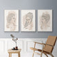 Greek Busts IV - Framed Premium Gallery Wrapped Canvas L Frame 3 Piece Set - Ready to Hang