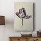 Antique Tulip Study II Premium Gallery Wrapped Canvas - Ready to Hang