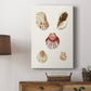 Pastel Knorr Shells V - Canvas Art Print