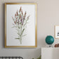 Dainty Botanical III - Modern Framed Canvas Print