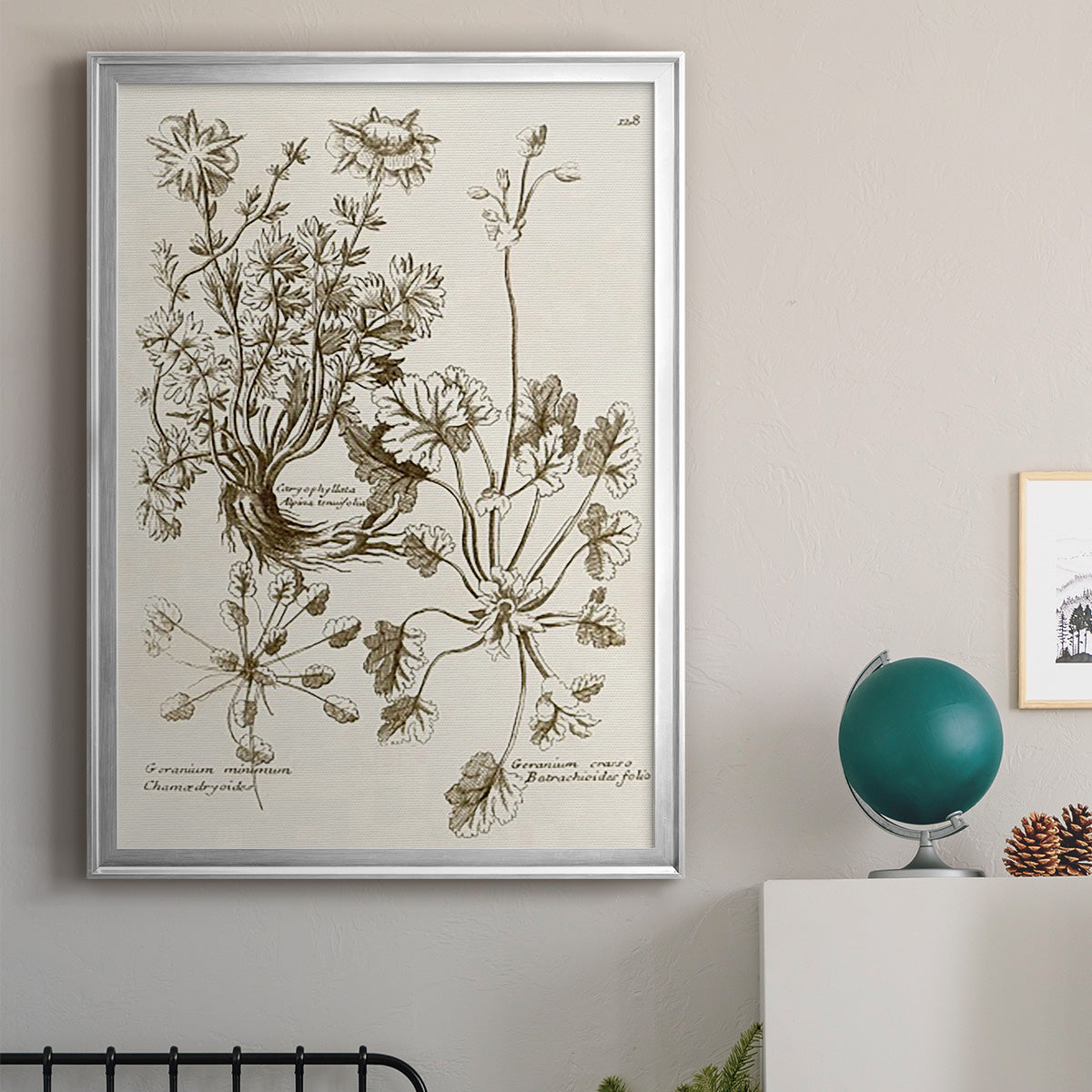 Sepia Botanical Journal IX - Modern Framed Canvas Print