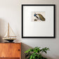 Peackock Plumage Premium Framed Print Double Matboard