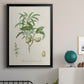 Antique Almond Botanical II - Modern Framed Canvas Print