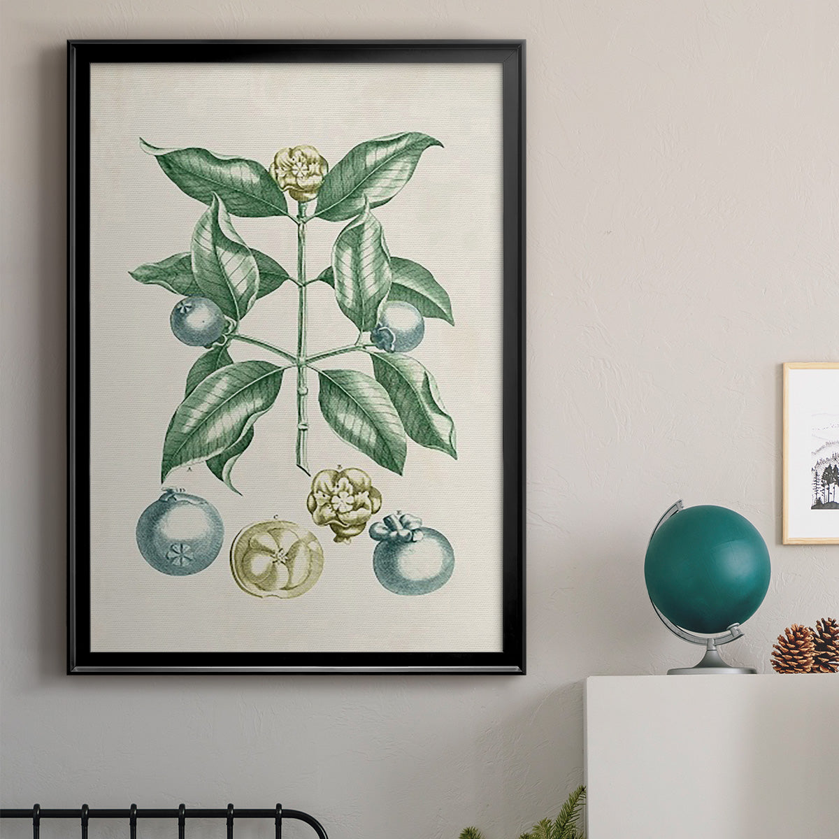 Buchoz Tropicals VII - Modern Framed Canvas Print