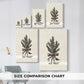 Evergreen of Pearled Carol - Canvas Art Print
