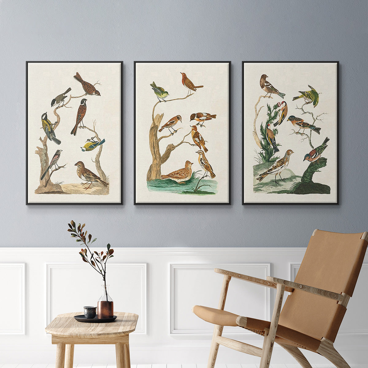 Antique Birds in Nature I - Framed Premium Gallery Wrapped Canvas L Frame 3 Piece Set - Ready to Hang