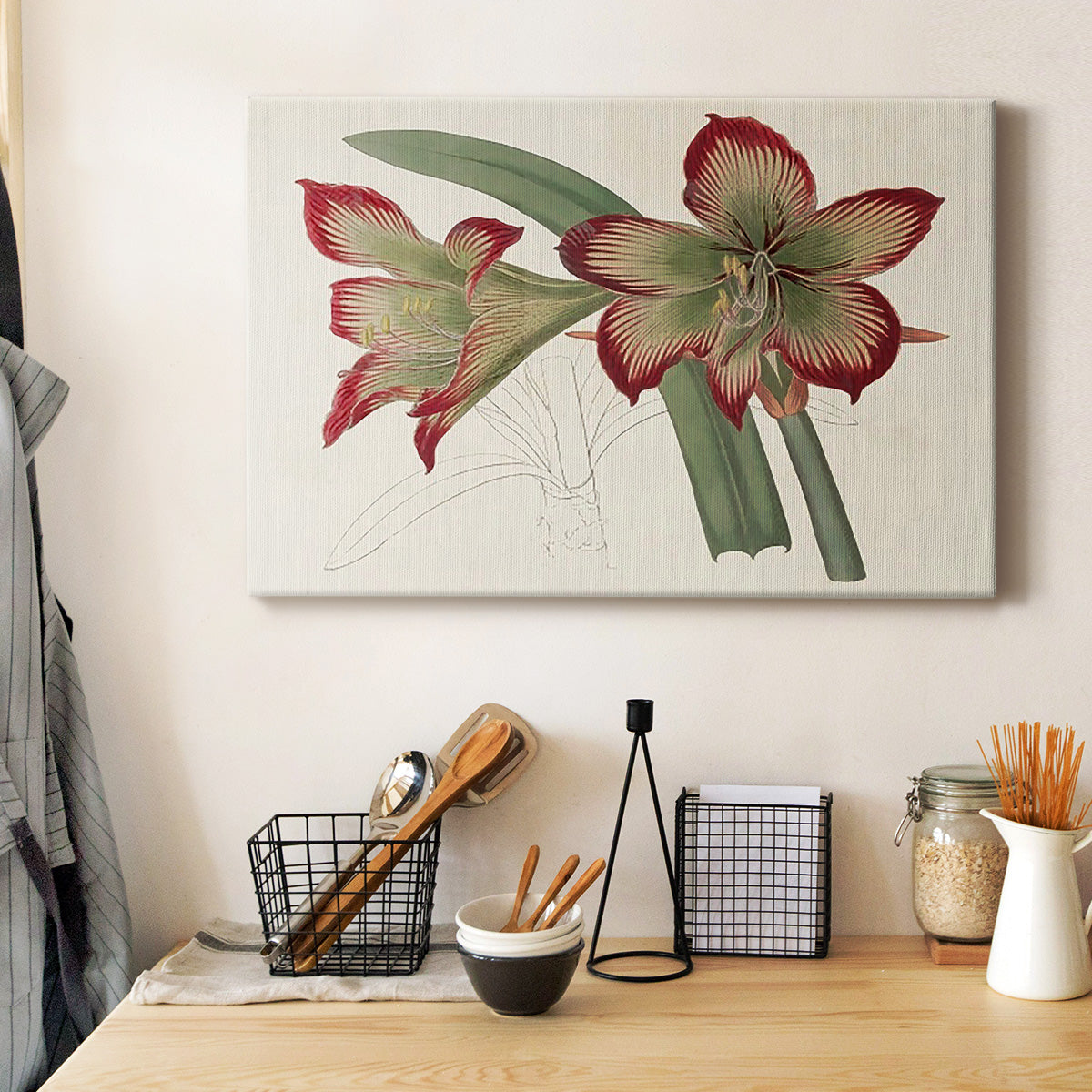 Amaryllis Varietals IV Premium Gallery Wrapped Canvas - Ready to Hang