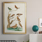 Antique Birds in Nature III - Modern Framed Canvas Print